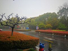 -南京国际会议大酒店