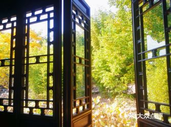 每个人心底都有一处最柔软的所在 古猗园