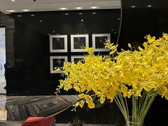 -长沙尼依格罗酒店
