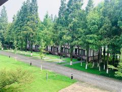 -太阳岛度假酒店