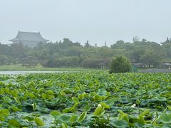 -阳澄湖半岛旅游度假区