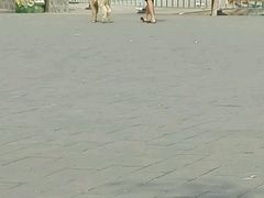 -河北村民俗体验园