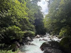 -西岭雪山大飞水景区