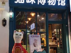 -猫咪博物馆(顶澳仔猫街店)