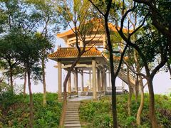 -广州市帽峰山景区