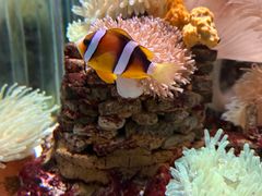 -太平洋海底世界