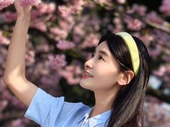 -南山植物园