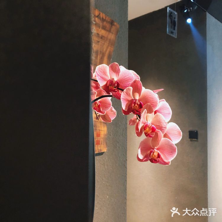 麓山南路343号矿山研究院前面一丢丢门店环境