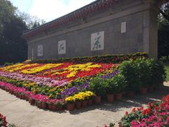 -采石矶景区