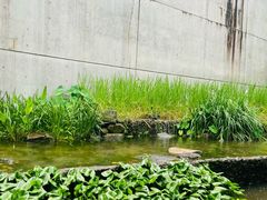 -中国湿地博物馆