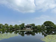 -无锡蠡湖国家湿地公园-蠡园