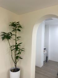 -Doria salon 小颜皮肤