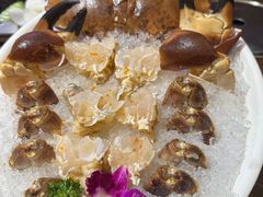 -东海怡品海鲜豆捞(星街坊店)