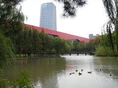 -中国浦东干部学院