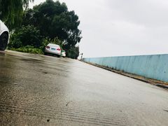 -瀛洲公园