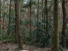 -青龙山国家森林公园