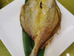 -津津名菜馆(绝没分店)