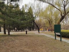 -元大都城垣遗址公园