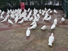 -国色天乡三期陆地乐园