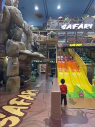 -卡通尼·Safari非洲探索乐园·生日会(金桥国际商业广场店)