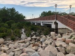 -宝安西湾红树林湿地公园