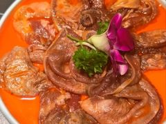 -蜀九香火锅(彩虹店)