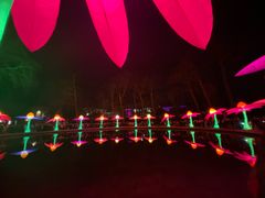 -布鲁塞尔大广场