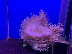-海合安武汉极地海洋公园