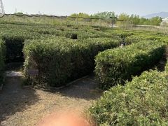 -亲兄弟真人CS团建拓展基地