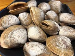 蚬子-丹东特色烤肉(南光三部店)