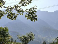 -梧桐山风景名胜区