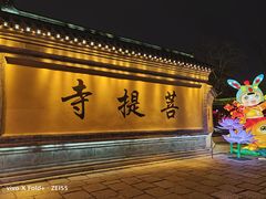 -台儿庄古城