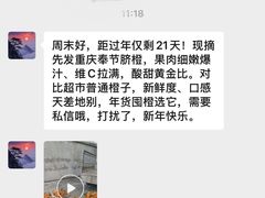 -上海虹桥西郊假日酒店