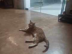 -逃脱反斗城沉浸剧情密室(北京路店)