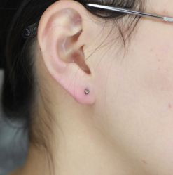 -众刺纹画·纹身·穿孔饰品·海娜定制