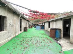 -东湖小天池真人CS彩弹野战基地