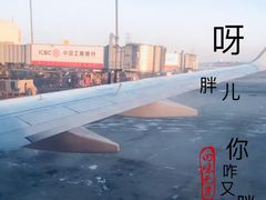 -哈尔滨太平国际机场
