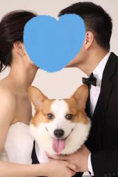 -花漾摄影优选工作室(东莞原创作品店)