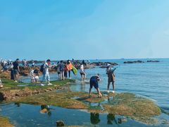 -青岛第二海水浴场