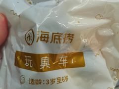 -海底捞火锅(璞丽中心店)
