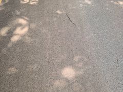 -索拉古贝(义乌北苑店)