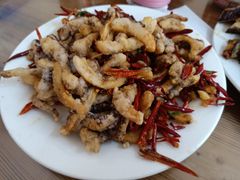 干煸鱿鱼-三点小吃(山大店)