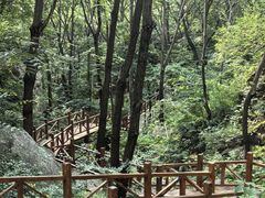 -大岭沟猕猴桃谷风景区