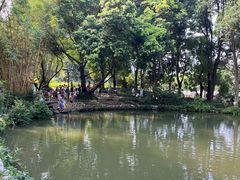 -成都市活水公园