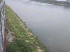 -羊山湖公园