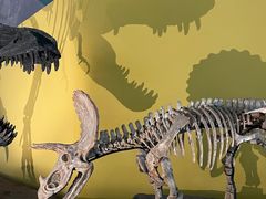 -湖南省地质博物馆