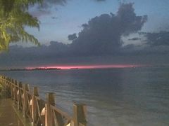 -万绿园