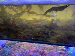 -辣螃铠盆盆蟹大排档(海昌店)