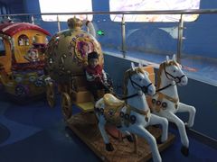 -苏州海洋馆