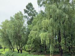 -阳澄湖半岛旅游度假区